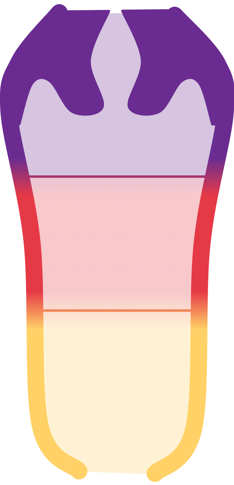 Abstract motion guide for short and fast contractions